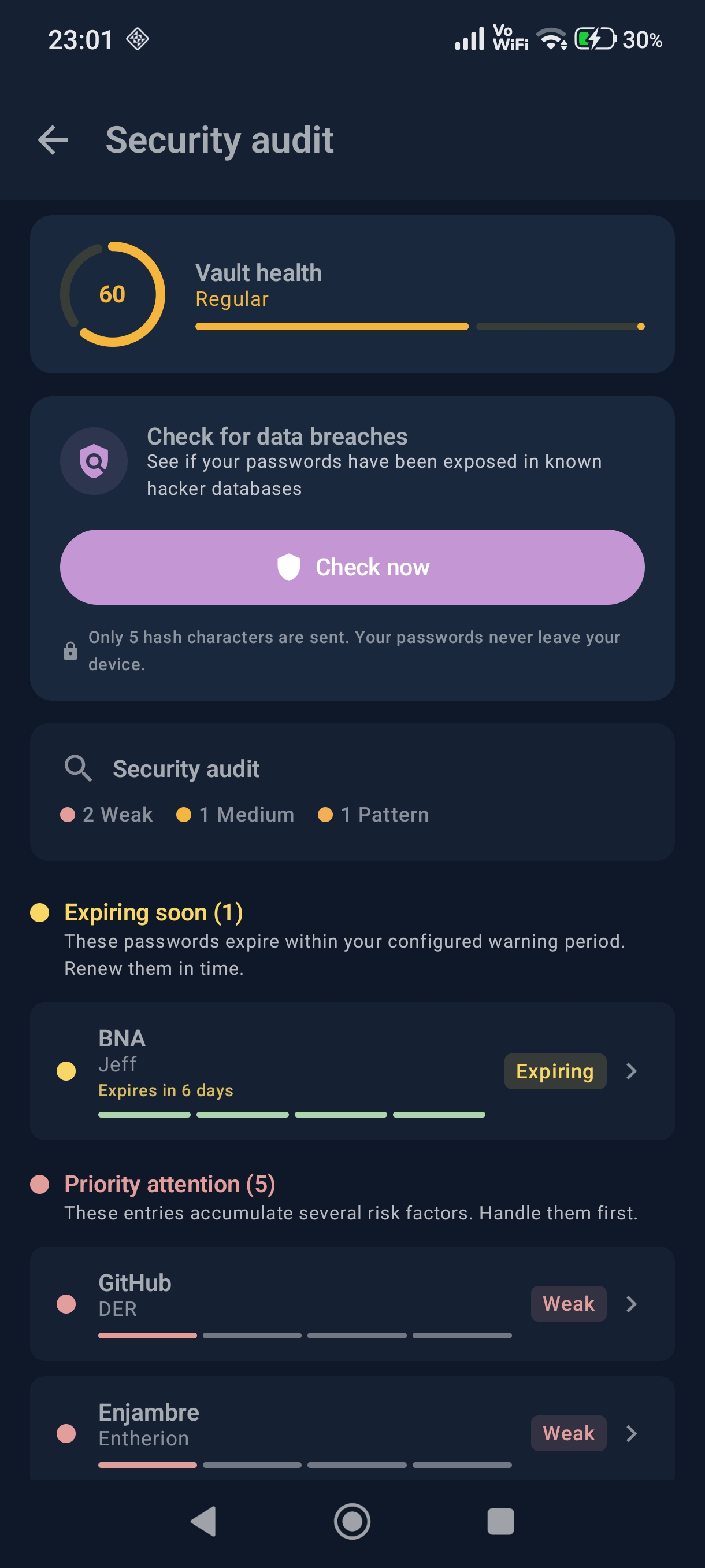 Security Audit